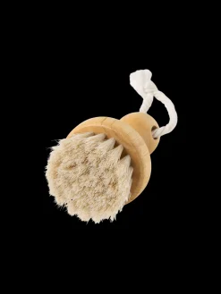 Brosse visage sèche