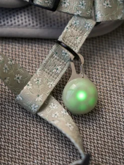 Clip LED pour laisse de chien