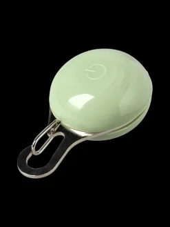 Clip LED pour laisse de chien