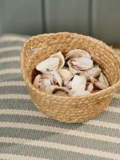Coquillages décoratifs