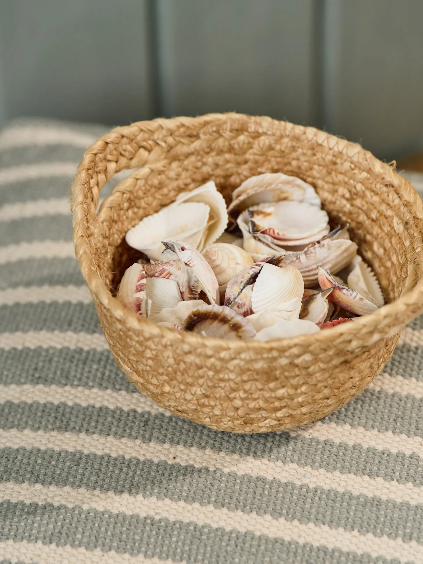 Coquillages décoratifs