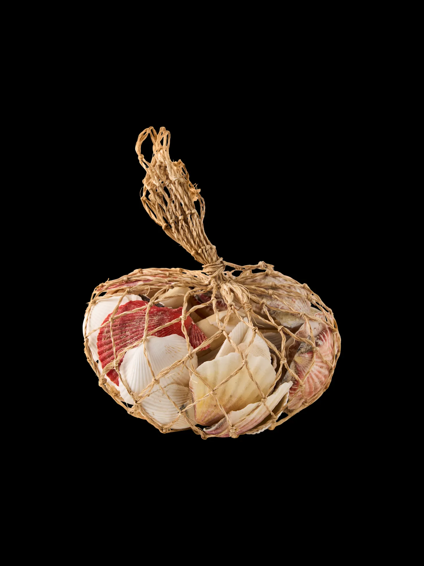 Coquillages décoratifs