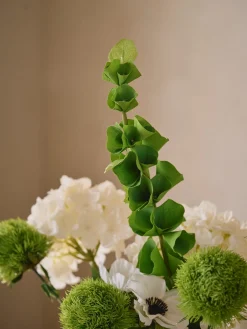 Fleur artificielle molucella