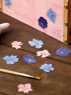Fleurs séchées