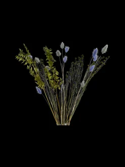 Fleurs séchées mélangées