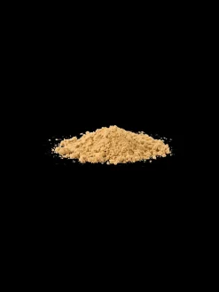 Gingembre moulu bio