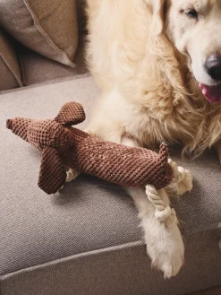 Jouet pour chien