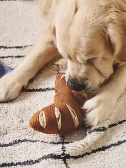 Jouet pour chien croissant