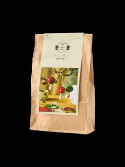 Kit de loisirs créatifs champignons