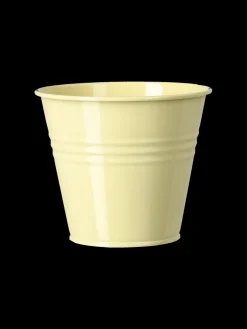 Pot de fleurs
