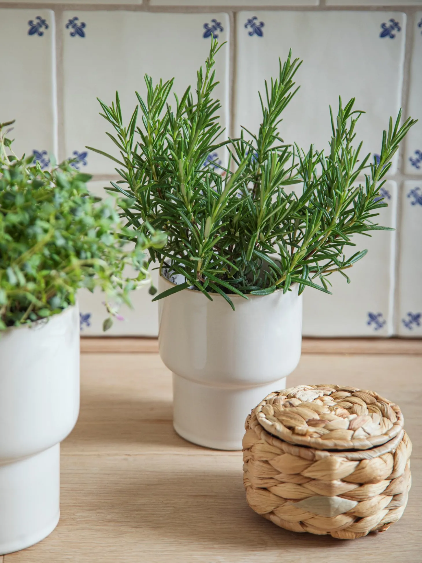 Pot de fleurs en grès