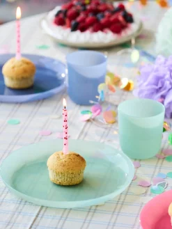 Assiettes en plastique réutilisables pour enfants