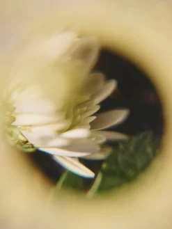 Boîte à jouets avec loupe