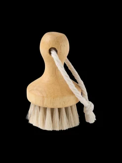 Brosse visage sèche