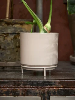 Cache-pot