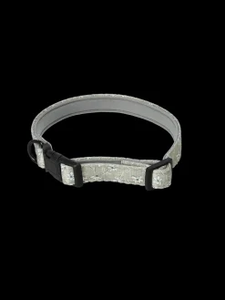 Collier pour chien