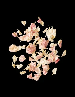 Confettis de fleurs biodégradables