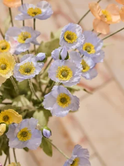 Coquelicot artificiel
