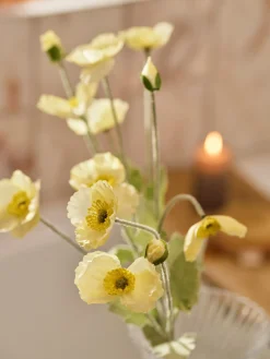 Coquelicot artificiel