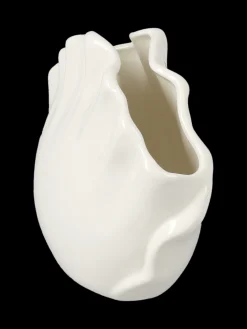 Coquillage déco