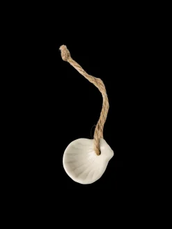 Coquillage décoratif