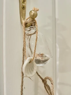 Coquillage décoratif