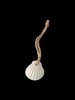 Coquillage décoratif