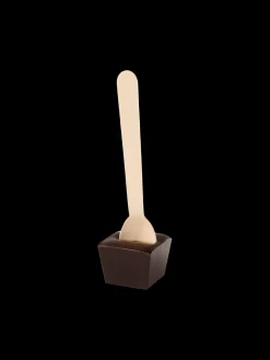 Cuillère de chocolat chaud
