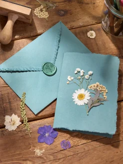 Fleurs séchées