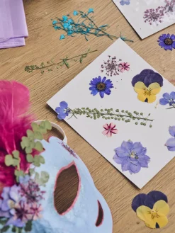 Fleurs séchées