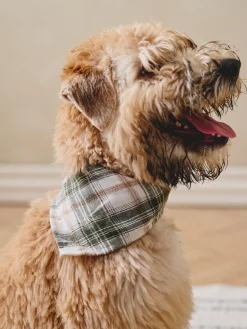 Foulard bandana pour chien