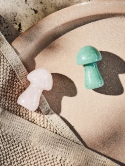 Gua sha champignon