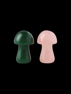 Gua sha champignon