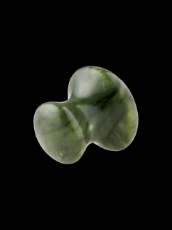 Gua sha champignon