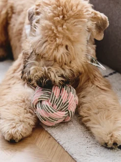 Jouet balle en corde pour chien