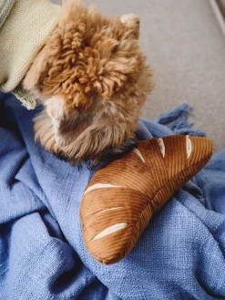 Jouet pour chien croissant