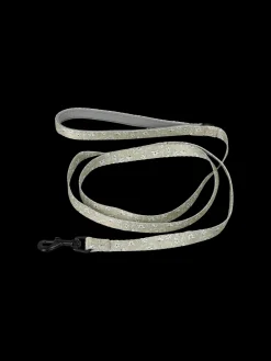 Laisse pour chien