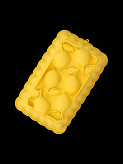 Moule à gâteau avec citrons