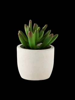 Plante succulente artificielle en pot