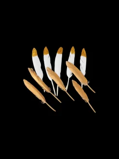 Plumes d’oie