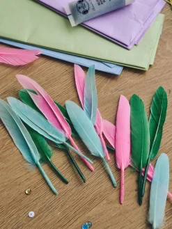 Plumes d’oie