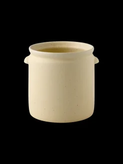 Pot de fleurs