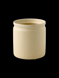 Pot de fleurs