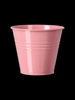 Pot de fleurs