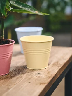 Pot de fleurs