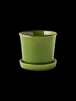 Pot de fleurs avec soucoupe