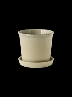 Pot de fleurs avec soucoupe