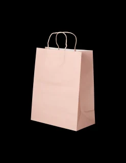 Sac cadeau