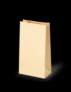 Sacs en papier