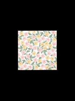 Serviettes 33 x 33